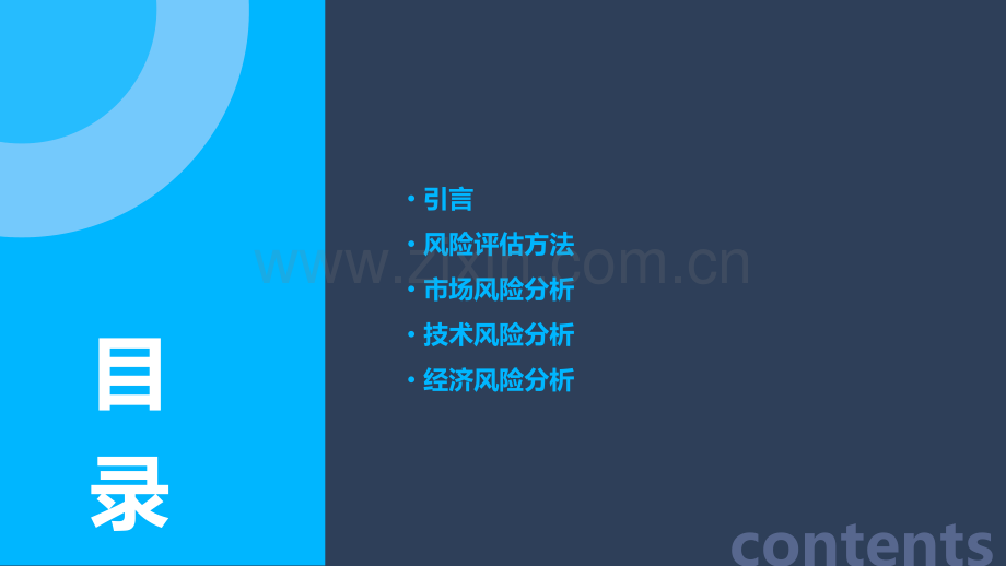 可研报告风险分析.pptx_第2页