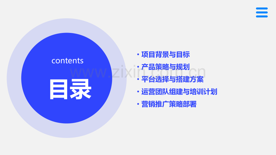 电商运营可行性方案.pptx_第2页
