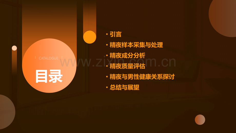 朝阳医院精夜分析报告.pptx_第2页