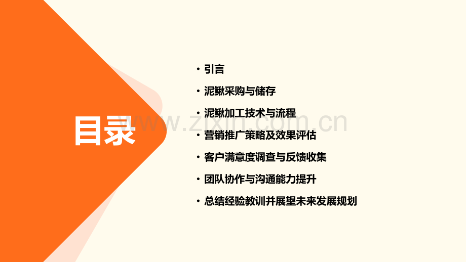 吃泥鳅的工作总结.pptx_第2页