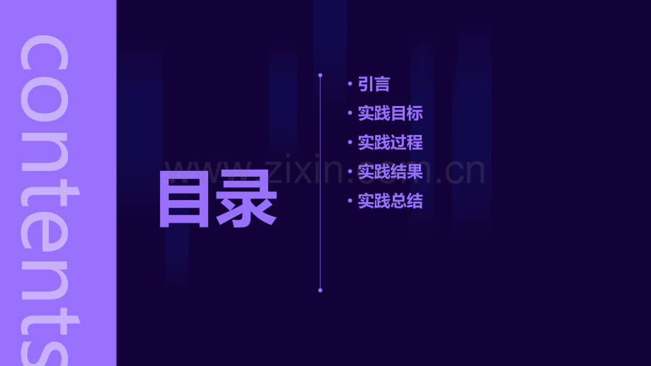 实践报告形式.pptx_第2页