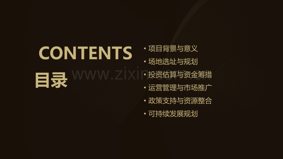 篮球公园可行性报告.pptx_第2页