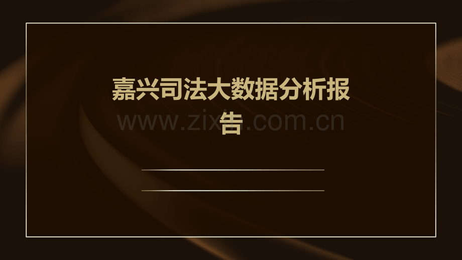 嘉兴司法大数据分析报告.pptx_第1页