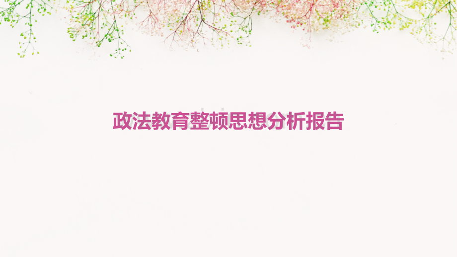政法教育整顿思想分析报告.pptx_第1页