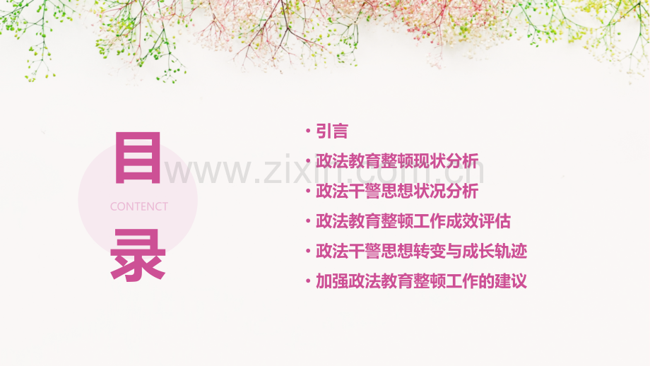 政法教育整顿思想分析报告.pptx_第2页