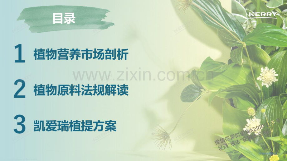 探索植物营养新潜能.pdf_第2页