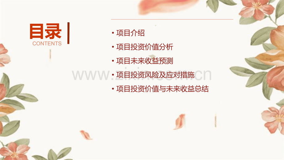 项目投资价值及未来收益报告.pptx_第2页