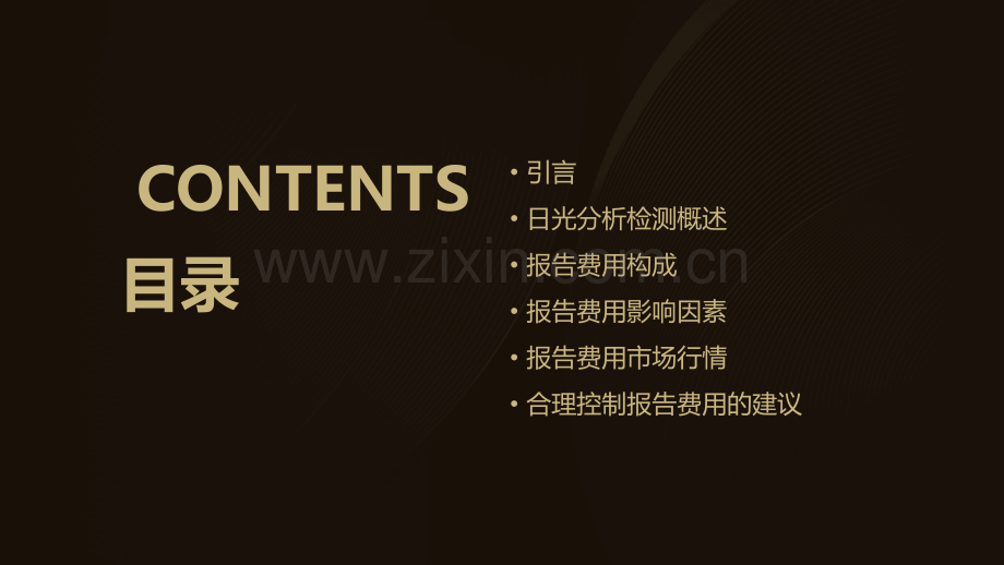 日光分析检测报告费用.pptx_第2页