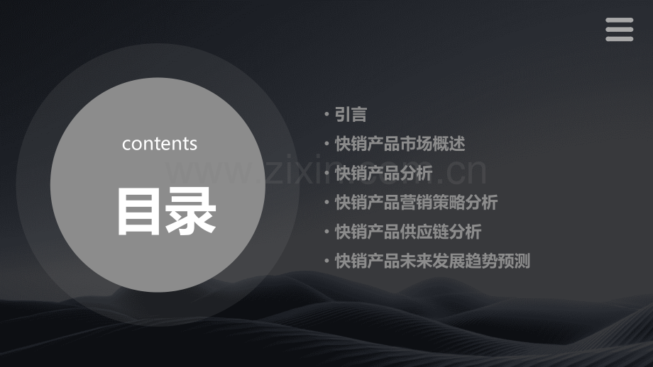 快销产品分析报告模板.pptx_第2页