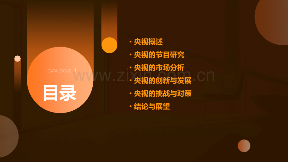 央视研究报告.pptx_第2页