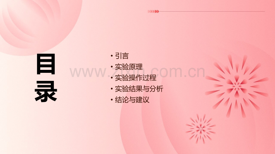 平衡试验报告.pptx_第2页