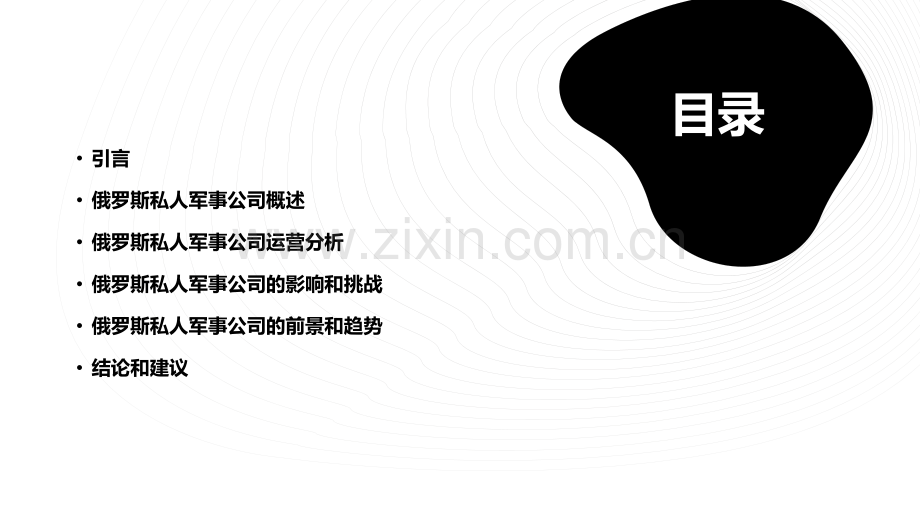 俄罗斯私人军事分析报告.pptx_第2页