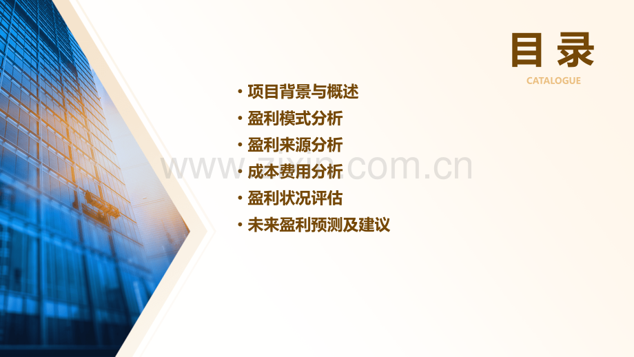 瓷器项目盈利分析报告.pptx_第2页