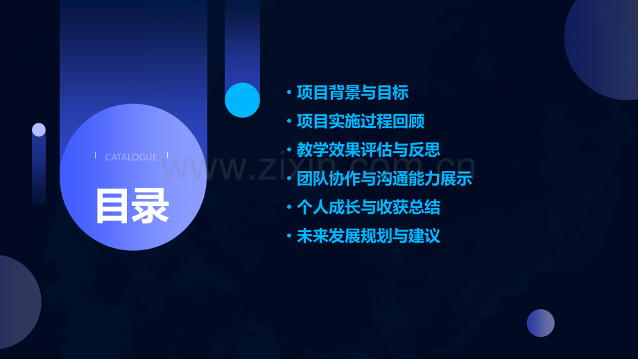 体育教师项目经验分析报告.pptx_第2页