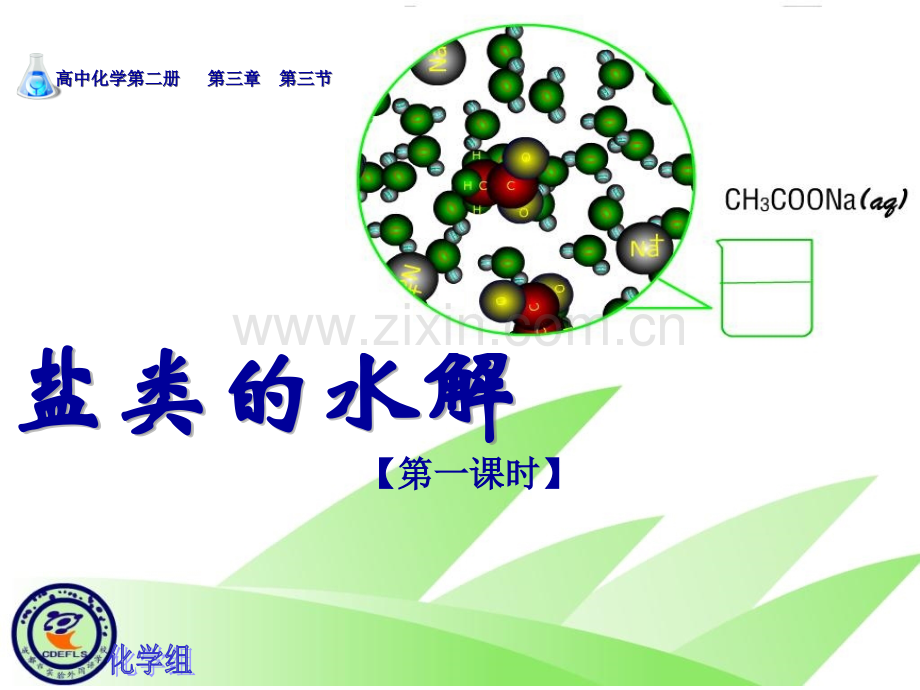 成都市实验外国语学校课件-化学-盐类水解宋钢.ppt_第1页