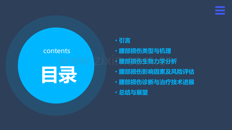 人体腰部损伤机理分析报告.pptx_第2页