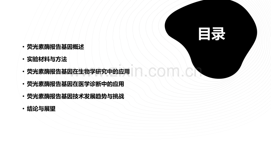 荧光素酶报告基因检测.pptx_第2页
