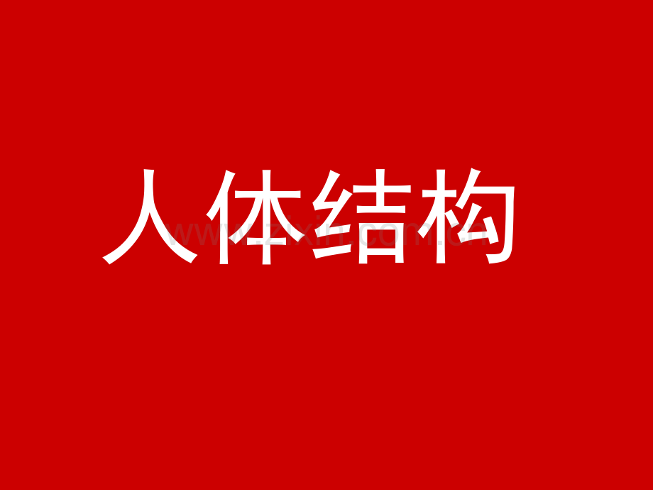 高中生物必修三人体结构图-人教版.ppt_第1页