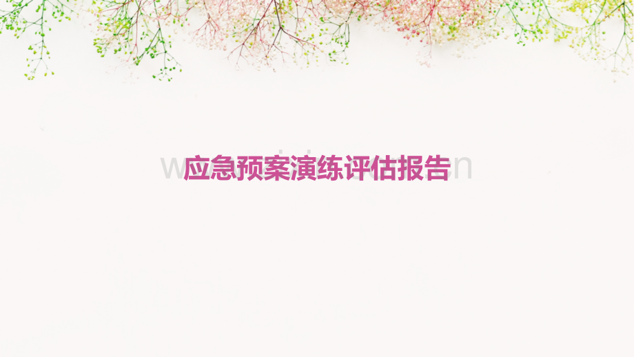 应急预案演练评估报告.pptx_第1页