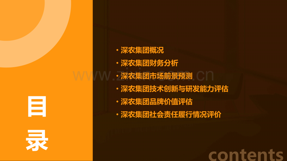 深农集团价值分析报告.pptx_第2页