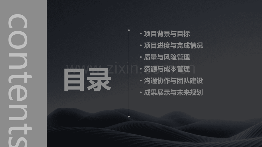 项目执行报告.pptx_第2页