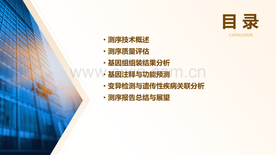 分析测序报告.pptx_第2页