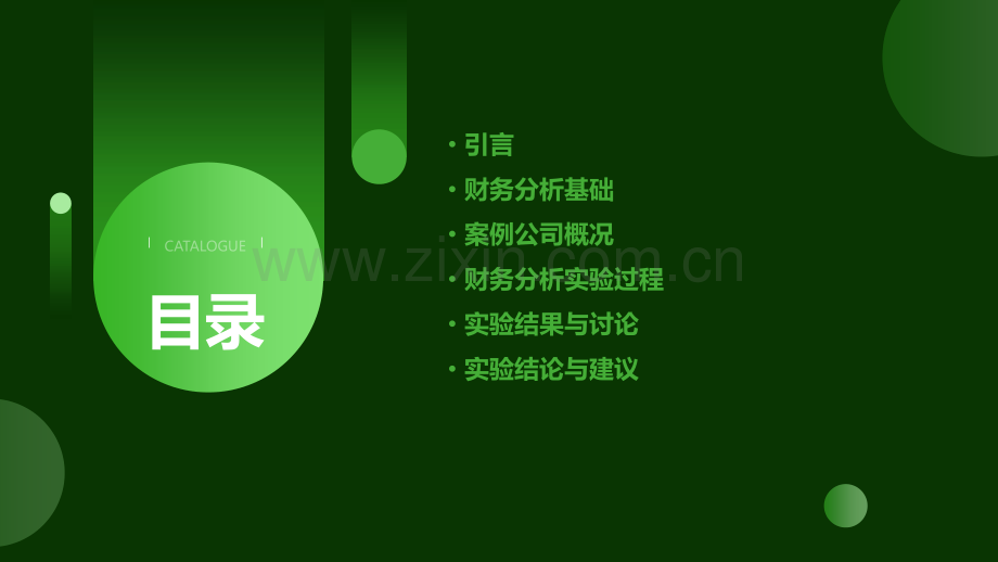 财务案例分析实验报告.pptx_第2页