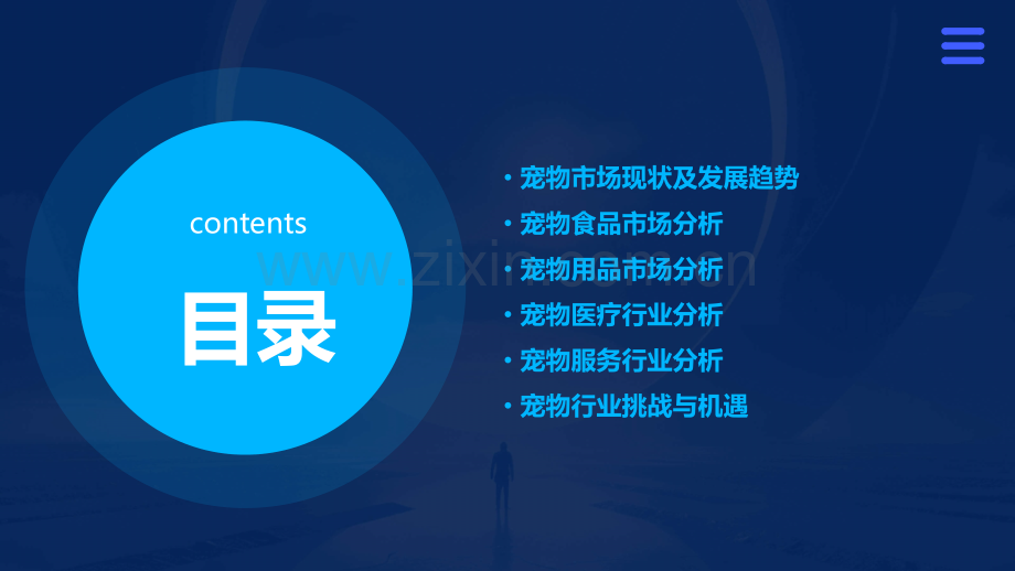 中国宠物行业分析报告.pptx_第2页