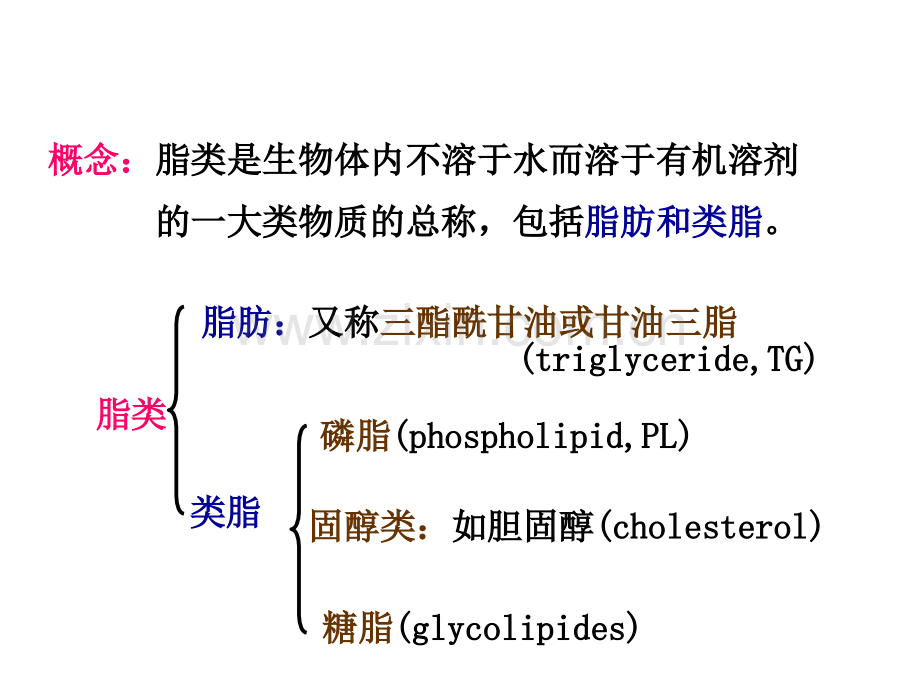 第八章--脂代谢.ppt_第2页