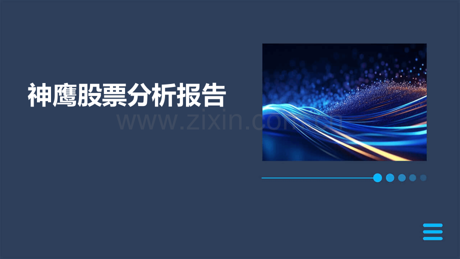 神鹰股票分析报告.pptx_第1页