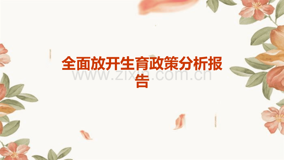 全面放开生育政策分析报告.pptx_第1页