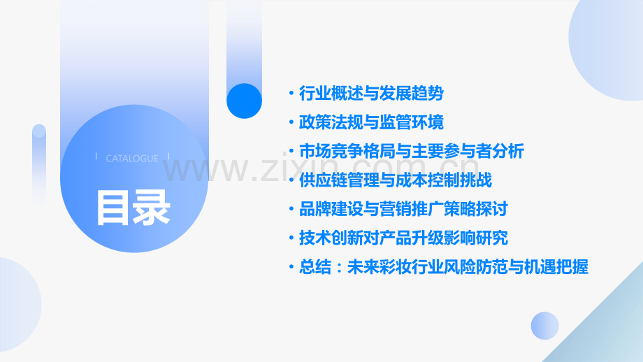 彩妆行业风险分析报告.pptx_第2页