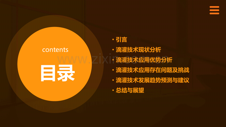 滴灌现状分析报告.pptx_第2页