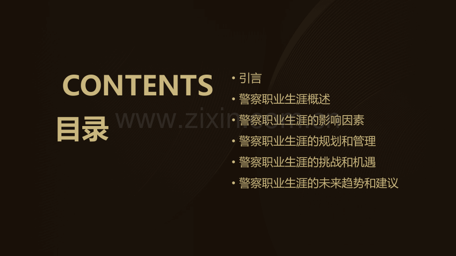 警察职业生涯分析报告.pptx_第2页
