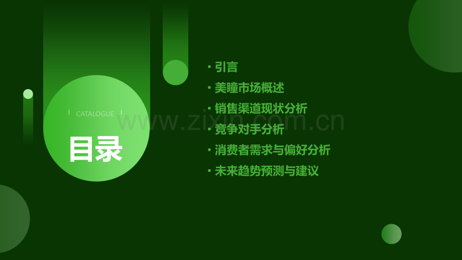 美瞳销售渠道分析报告.pptx_第2页