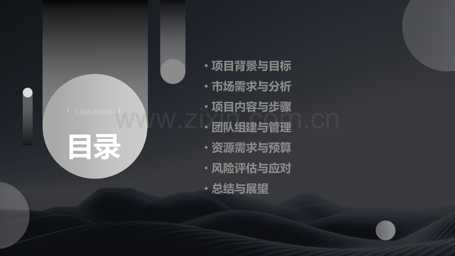 第一次做项目计划书作文.pptx_第2页