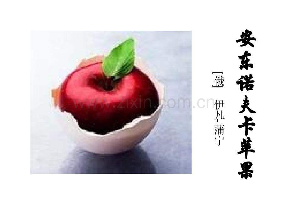 《安东诺夫卡苹果》ppt教学文案.ppt_第1页