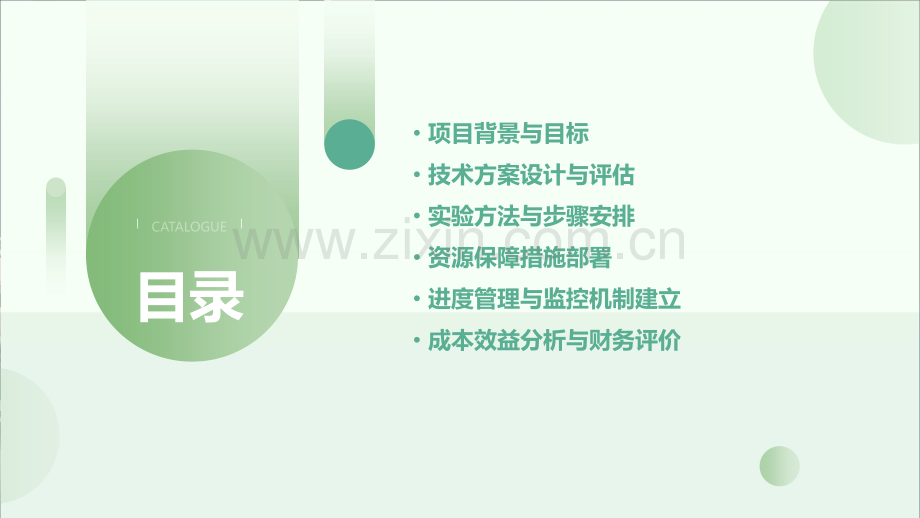 项目可行性方案实验.pptx_第2页