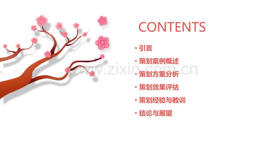 策划案例分析报告.pptx_第2页