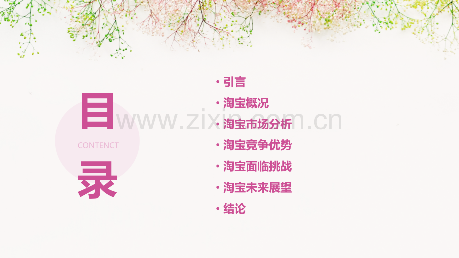 淘宝总结报告.pptx_第2页