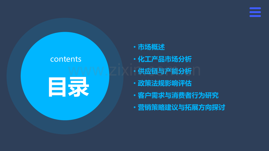 化工产品市场分析报告.pptx_第2页