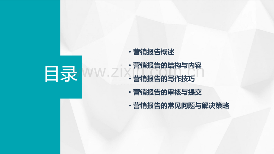 营销报告撰写.pptx_第2页