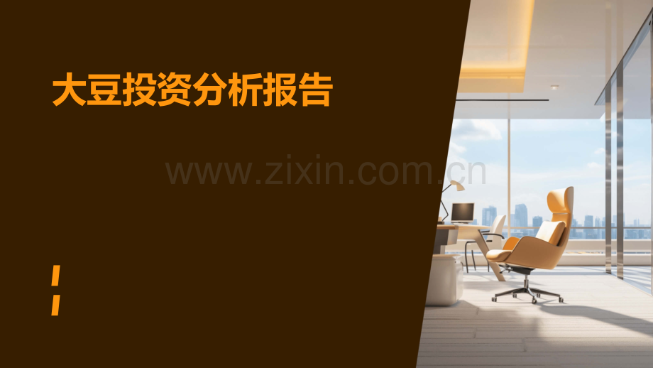 大豆投资分析报告.pptx_第1页