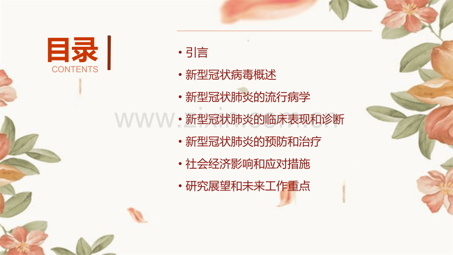 关于新型冠状肺炎的报告.pptx_第2页
