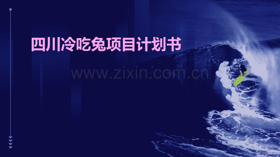 四川冷吃兔项目计划书.pptx_第1页