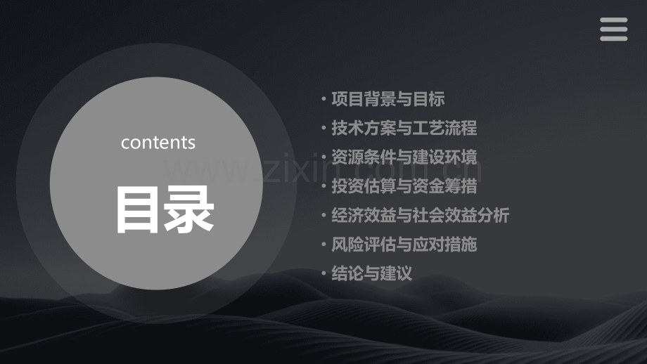 项目的可行性报告.pptx_第2页