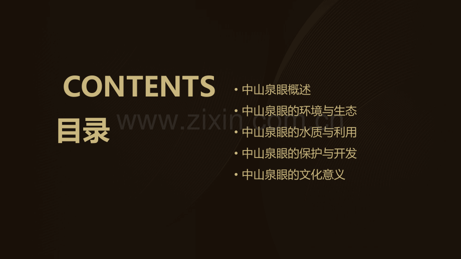 中山泉眼报告.pptx_第2页