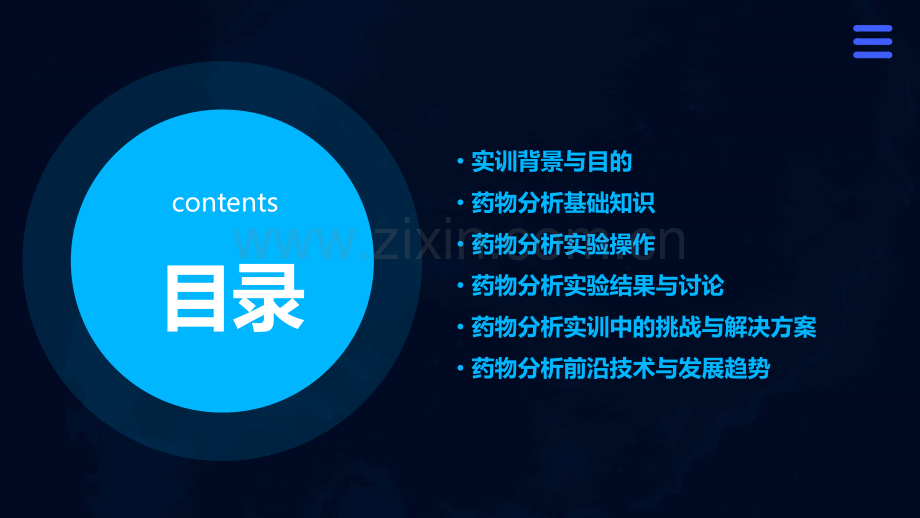 药物分析实训报告.pptx_第2页