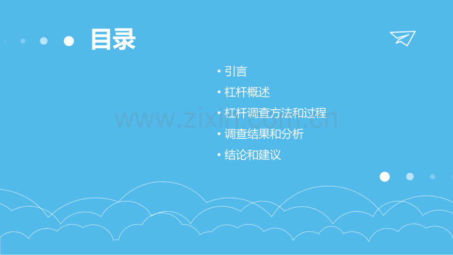 杠杆调查报告.pptx_第2页
