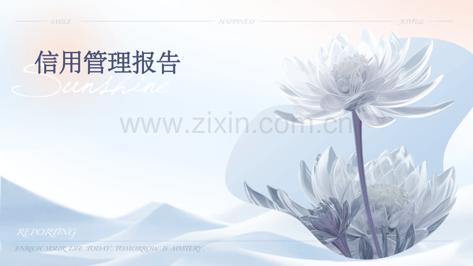 信用管理报告.pptx_第1页